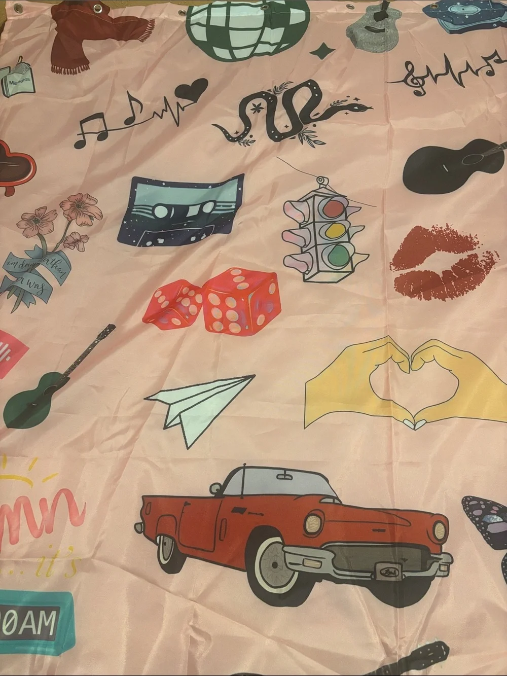 Taylor Swift Shower Curtain